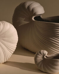 Shell Vase 23 cm