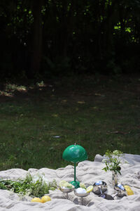 Bloom Botanica Vase 22 cm