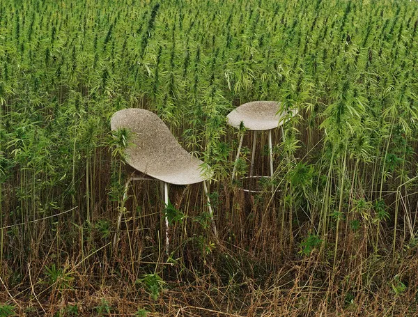 Mat Barstool 75 cm Seaweed / Cream