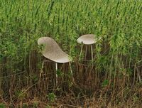 Mat Barstool 75 cm Seaweed / Cream