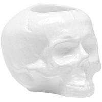 Still Life Skull Lanterne Hvit