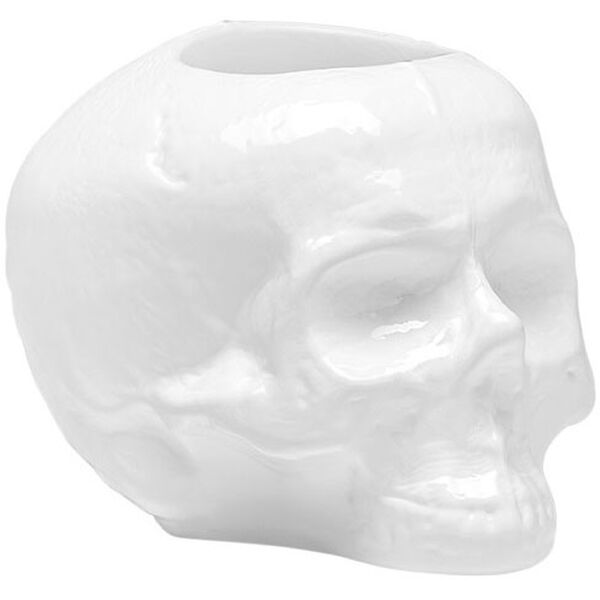 Still Life Skull Lyhty Valkoinen