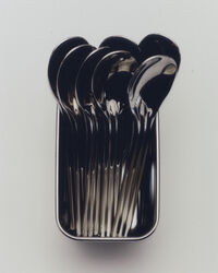 Canteen Sked 4-pack Polerat Silver