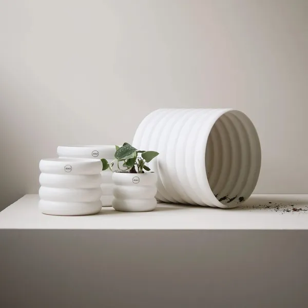Mud Mole Pot Medium