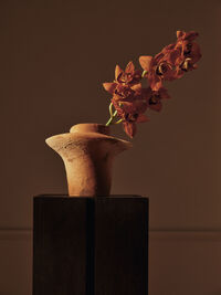 Evio Vase H22 cm Burnt Umber