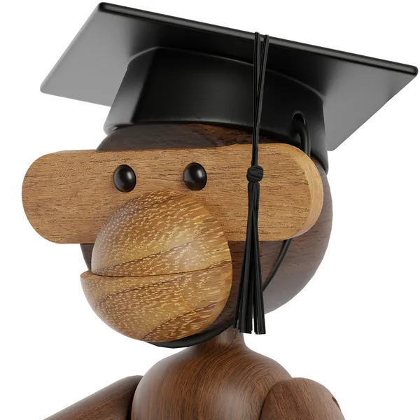 Studenterhue Sort