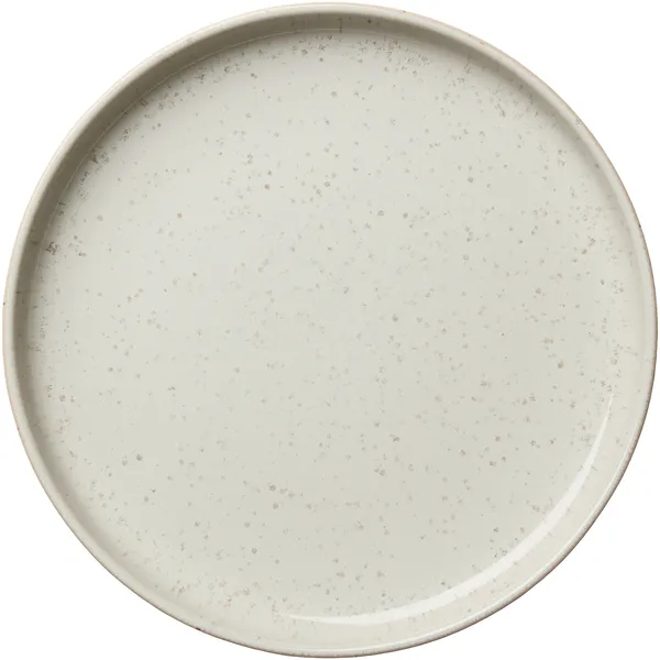 BON Tallerken 22 cm Steam