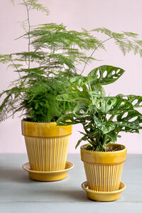 Simona Pot Yellow 16 cm
