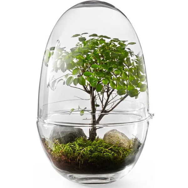 Grow Pienoiskasvihuone XL Kirkas