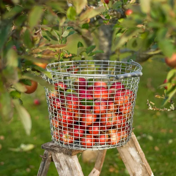 Bucket 24 Korg Syrafast Rostfritt Stål