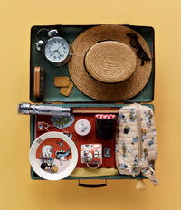 Moomin Tallerken 19 cm Ready for vacation