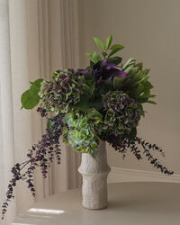 Aubergine Bloom Buket 106 cm 12-pak