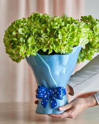 Belivia Vase