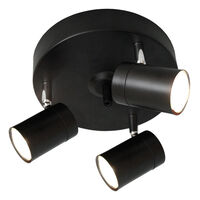 Correct 3 Spotlight Sort