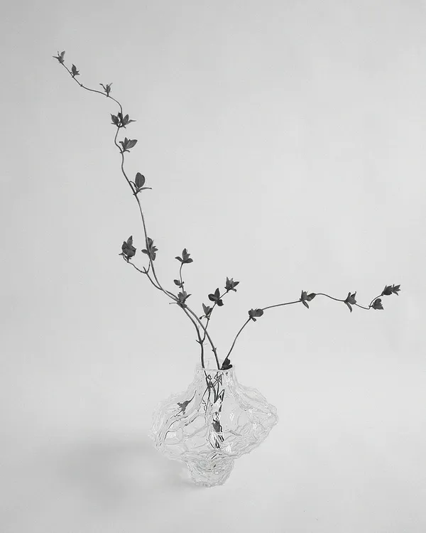 Canyon Vase 23 cm Klar