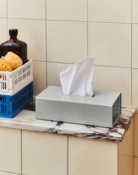 Colour Crate Förvaringslådor Mini 2-pack Off-white