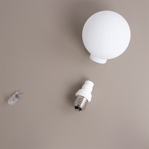 E110 E27 Globe Clear Dimmable Without Light source 100 mm