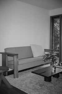 Symmetry 2-Seter Sofa Oat / Oljet Ask