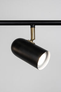 Swan 5 Taklampe Hvit
