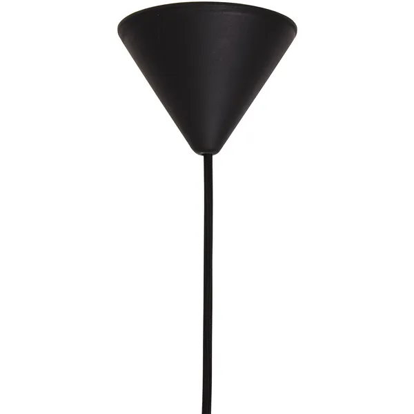 Omega 50 Pendel Mud