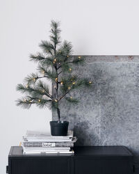 Peuce Juletræ Med LED-lamper Grønt