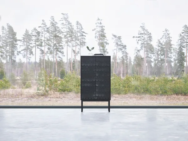 Collect 2012 Skap Svart / Svartbeiset Eik