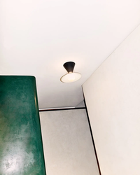 Fante Seinä-Kattovalaisin Brick