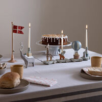World of Sebra Fødelsdagstog 5 dele