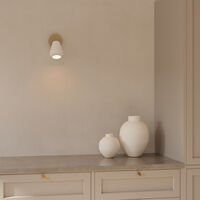 Anoli Spot Surface Vegg-/Taklampe Hvit / Nordic Gold