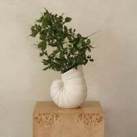 Shell Vase Off-white