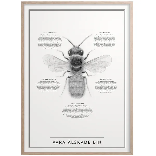 Våra Älskade Bin Plakat 50x70 cm