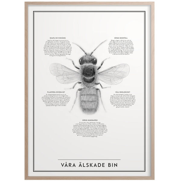 Våra Älskade Bin Juliste 50x70 cm