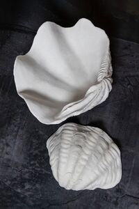 Shell Deco White Small