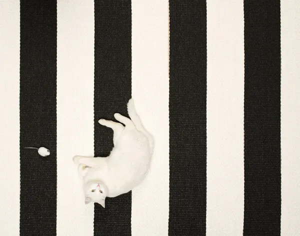 Bob Tæppe 70x300 cm Mud/Vanilla