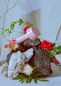 Bicoca Bordlampe Bærbar Pale Pink