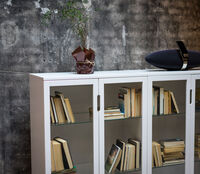 Aoko Skab Hvidt Glass Doors