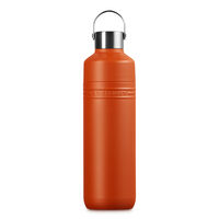 On The Go Flaska 1L Volcanic
