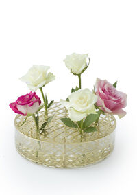 Äng Optimum Vase Messing