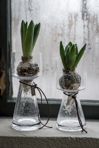 Vas Med Bubblor Klar 20 cm