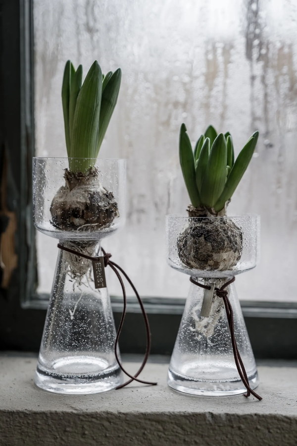 Vas Med Bubblor Klar 20 cm