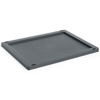 Colour Crate Plastic Medium Låg Charcoal
