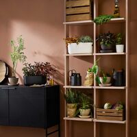 Selv-vannende Herb Organiser Sort