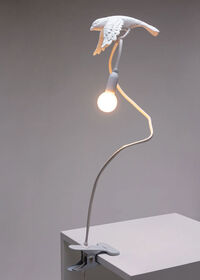 Sparrow Taking off Bordlampe Med Klemme