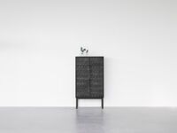 Collect 2012 Skap Svart / Svartbeiset Eik