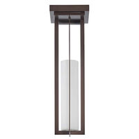 Cage Ceiling Lamp