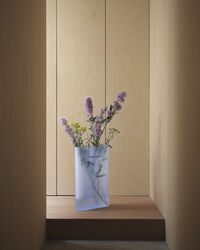 Ridge Vase Frostet 485 cm Lyseblå