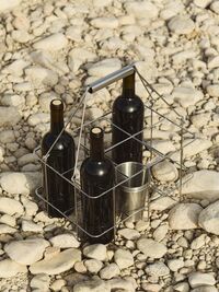 Outdoor Market Bottle Carrier Medium Stainless Steel