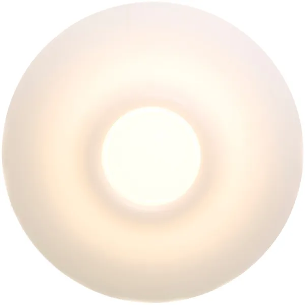 Ono Flush Light Wall / Ceiling Ø20 cm
