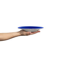 Basic Lautanen 21 cm Sininen