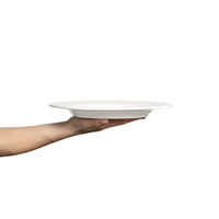 Basic Tallerken 28 cm Hvit